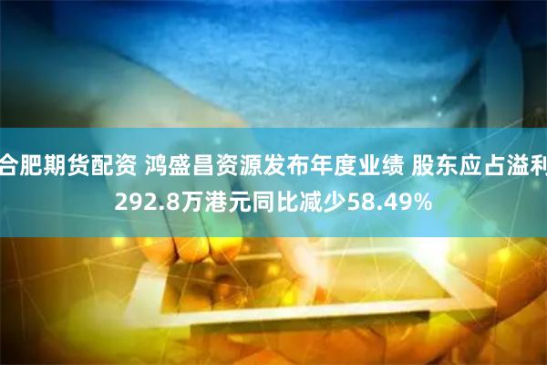 合肥期货配资 鸿盛昌资源发布年度业绩 股东应占溢利292.8万港元同比减少58.49%