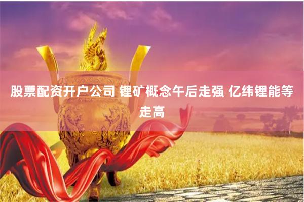 股票配资开户公司 锂矿概念午后走强 亿纬锂能等走高