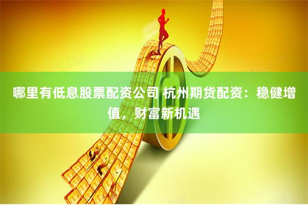 哪里有低息股票配资公司 杭州期货配资：稳健增值，财富新机遇